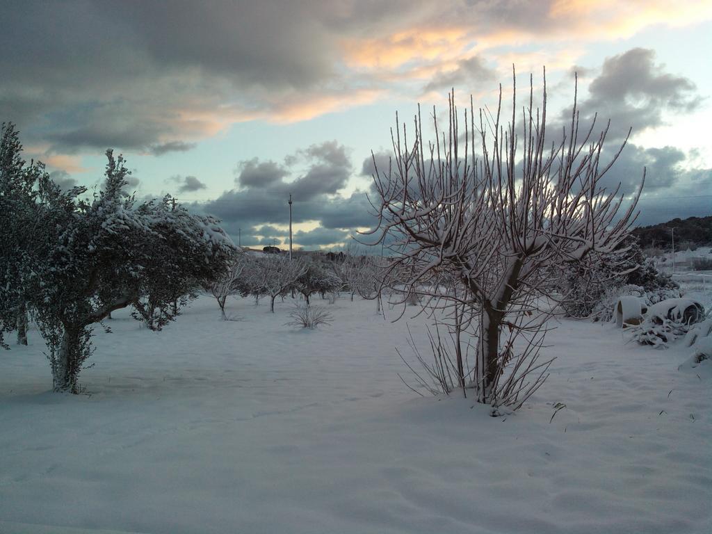 Dimora Antonianna In Valle D'Itria Locorotondo Exteriör bild