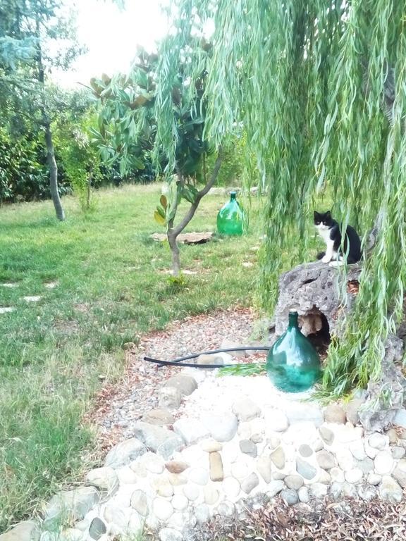 Dimora Antonianna In Valle D'Itria Locorotondo Exteriör bild